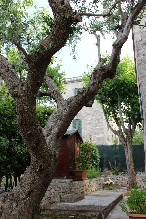 塞尔瓦·迪·法萨诺Domus Relax住宿加早餐旅馆 外观 照片